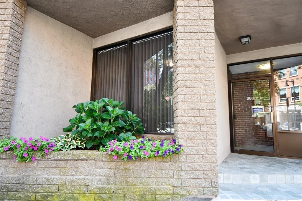 1 bed, 1 bath apartment for rent at 386 Commercial Unit 3D, North End — photo 11 of 15
