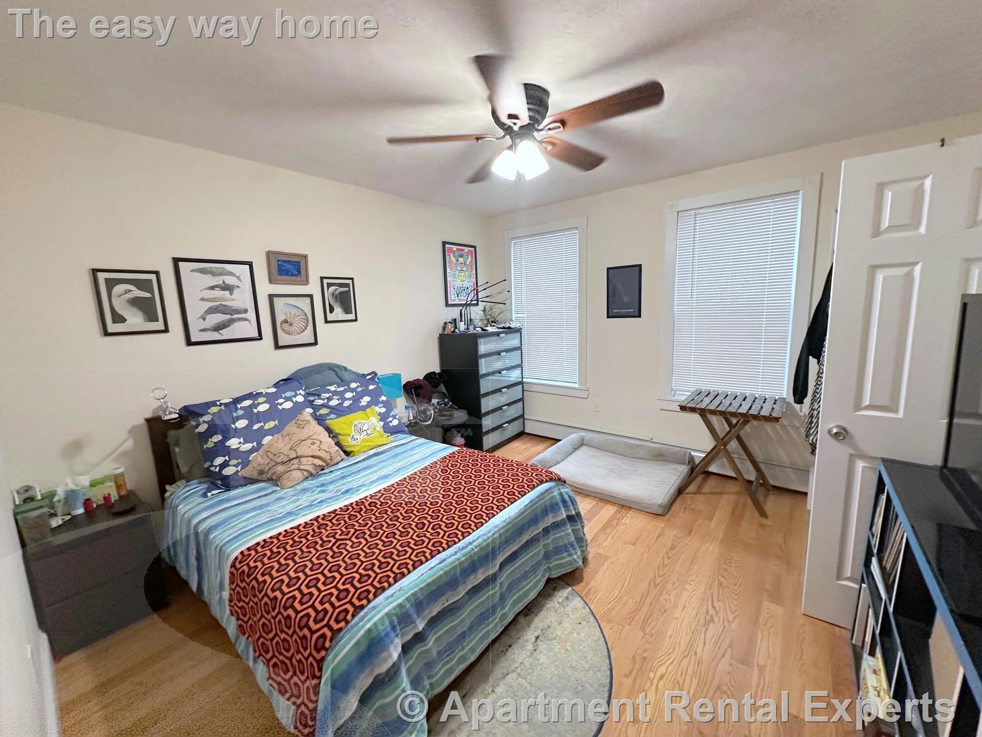 2 bed, 1 bath apartment for rent at 387 Columbia St, Inman Square — photo 4 of 19