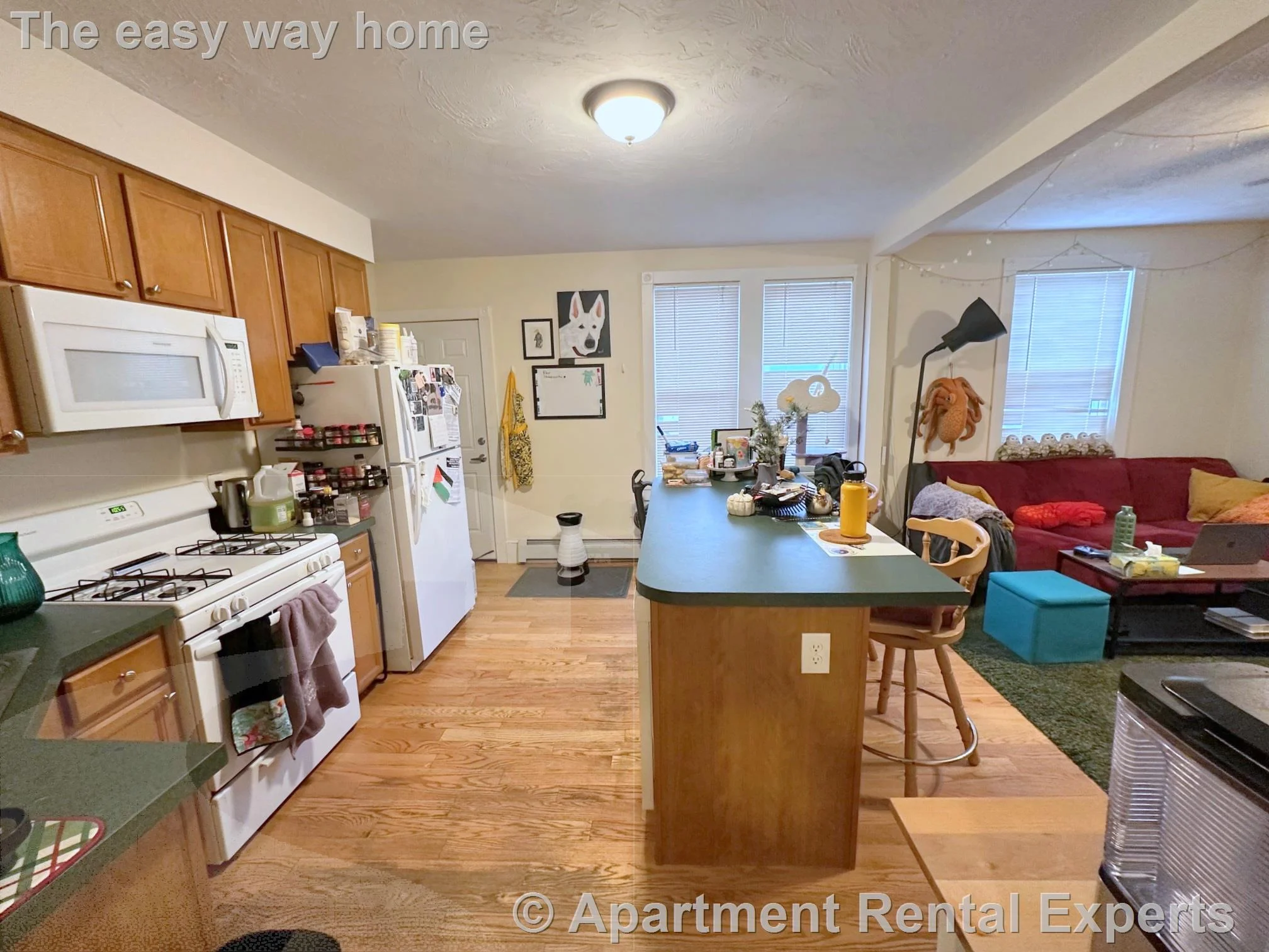 2 bed, 1 bath apartment for rent at 387 Columbia St, Inman Square — photo 1 of 19