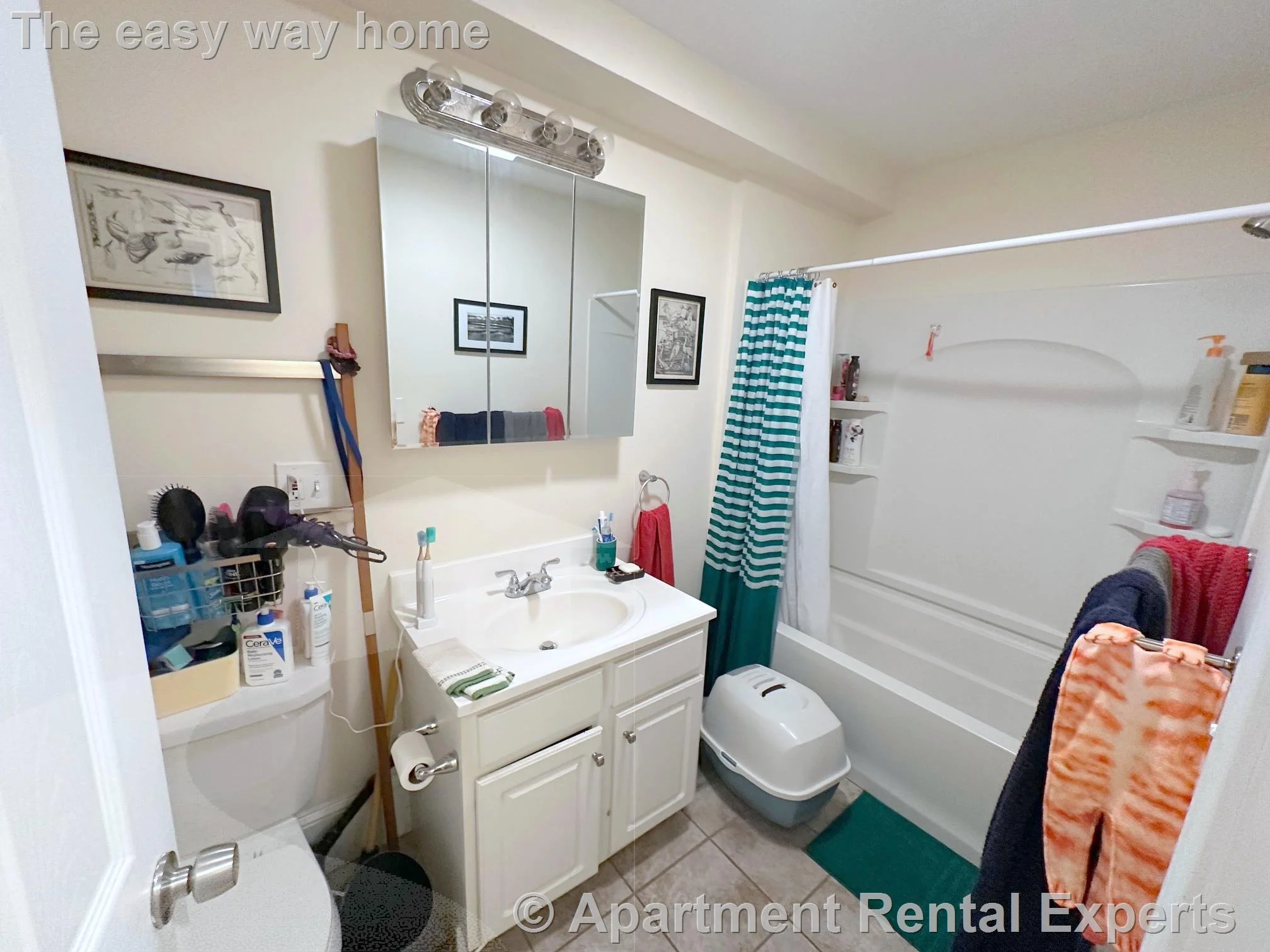 2 bed, 1 bath apartment for rent at 387 Columbia St, Inman Square — photo 7 of 19