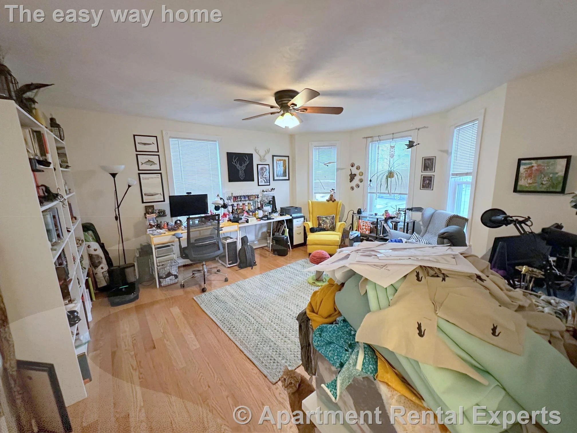2 bed, 1 bath apartment for rent at 387 Columbia St, Inman Square — photo 5 of 19