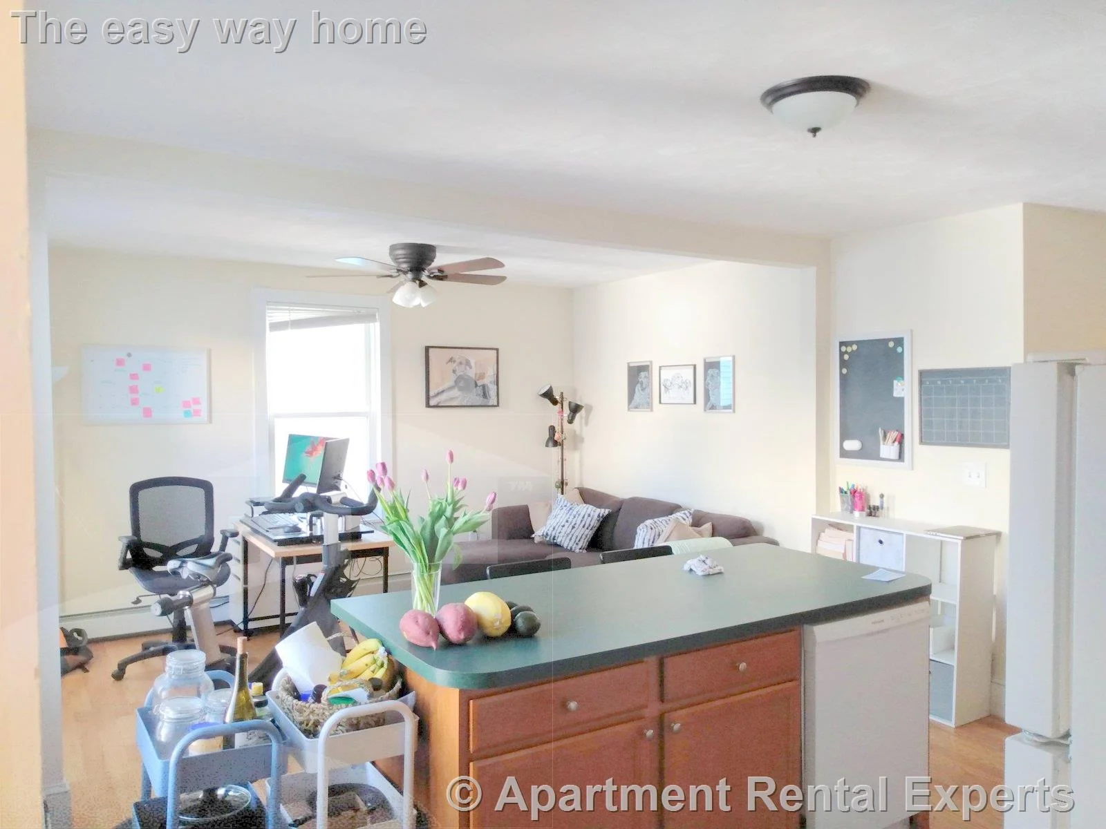 2 bed, 1 bath apartment for rent at 387 Columbia St, Inman Square — photo 10 of 19