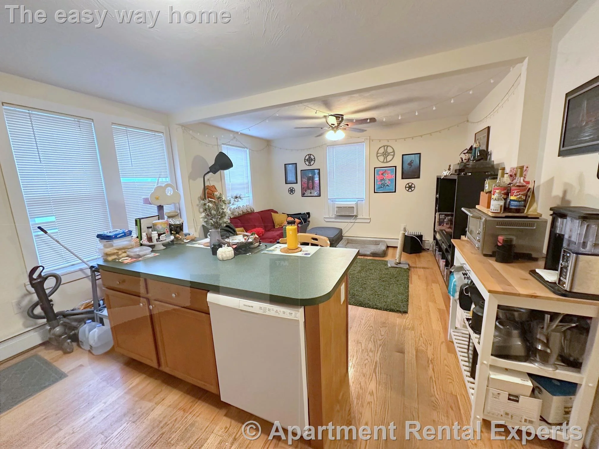 2 bed, 1 bath apartment for rent at 387 Columbia St, Inman Square — photo 2 of 19