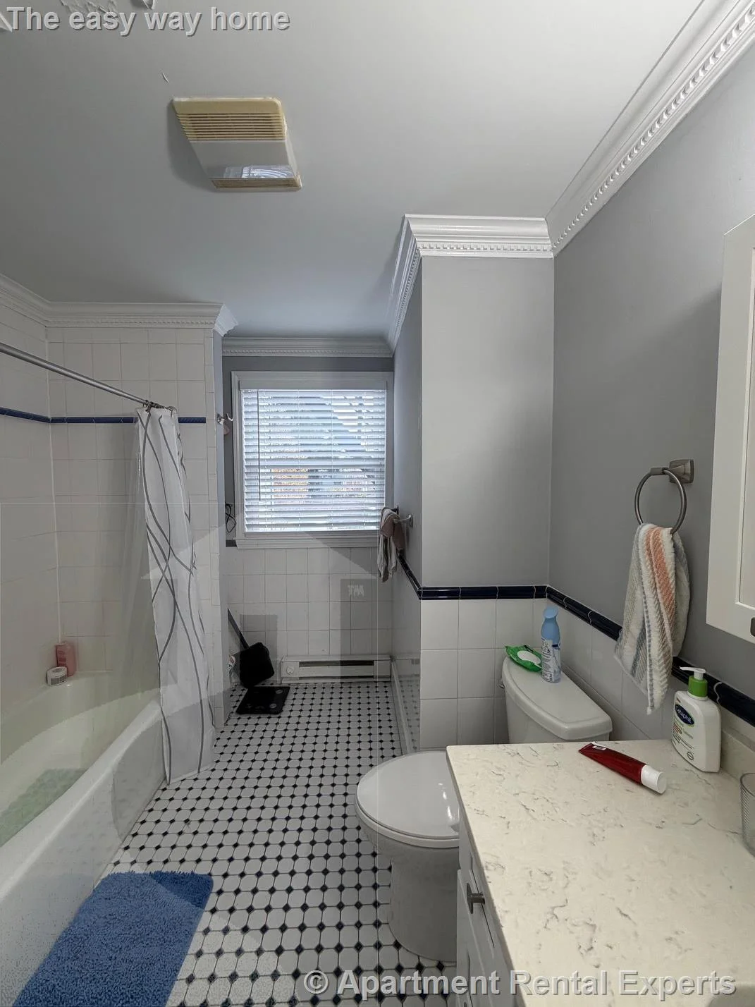 1 bed, 1 bath apartment for rent at 388 Somerville Ave Unit 3, Union Square — photo 4 of 7