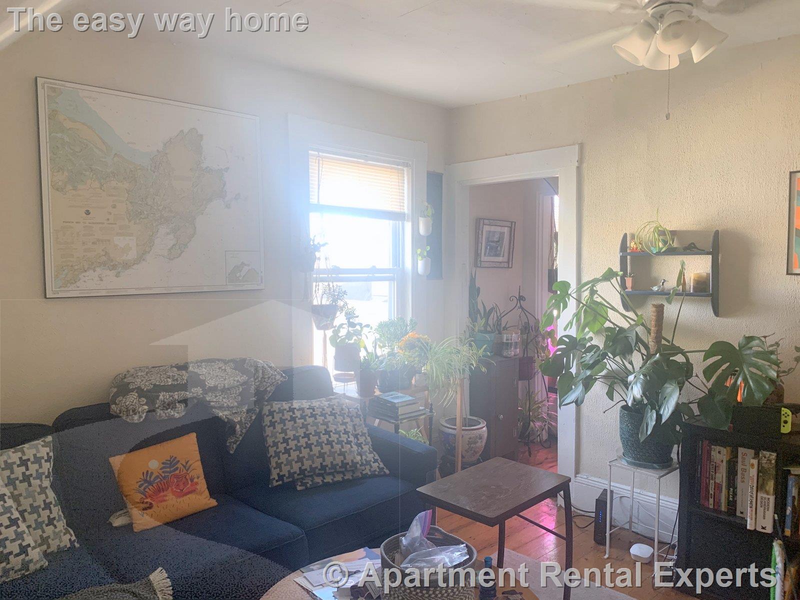 1 bed, 1 bath apartment for rent at 388 Somerville Ave Unit 8, Union Square — photo 3 of 7