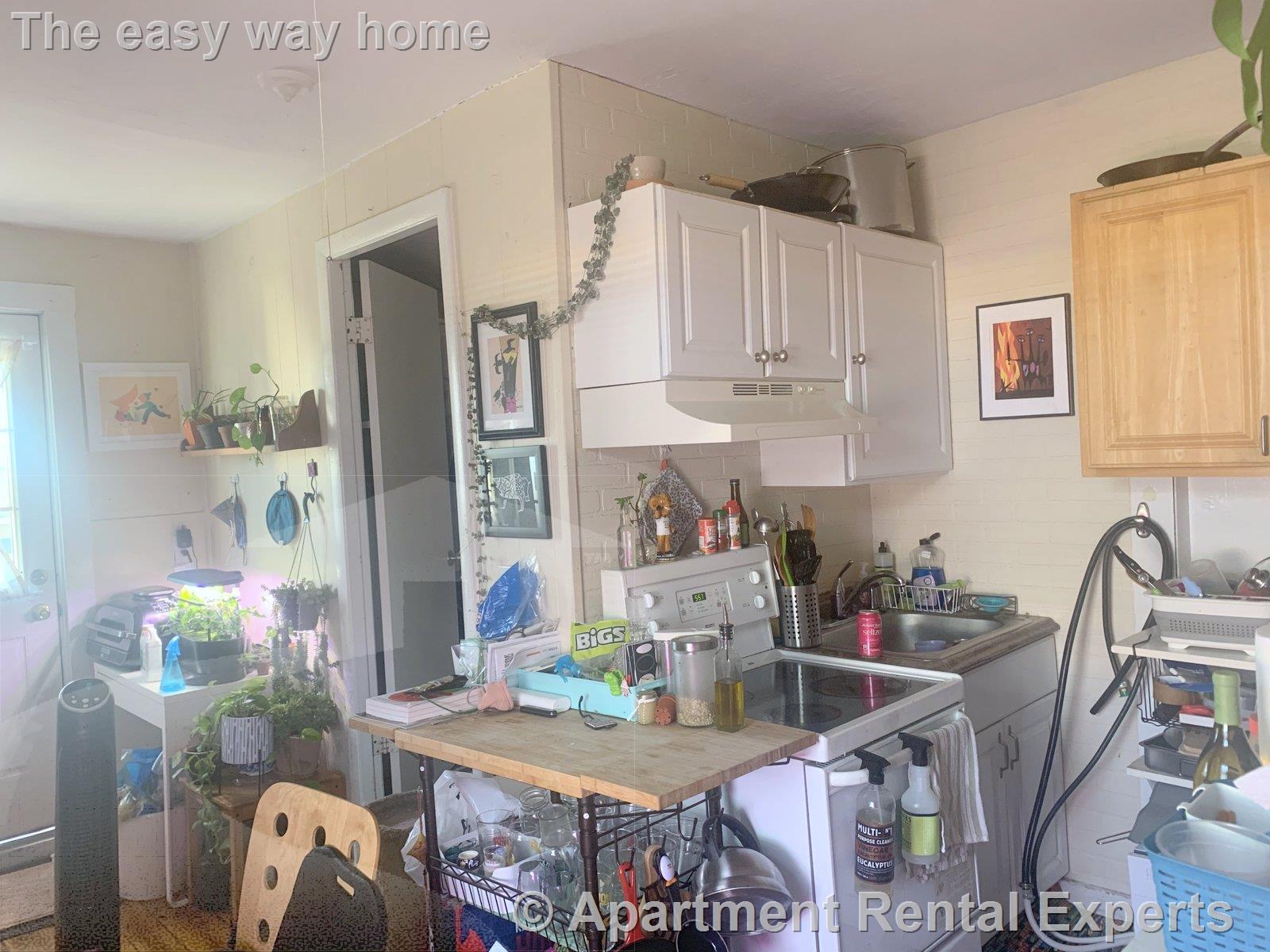 1 bed, 1 bath apartment for rent at 388 Somerville Ave Unit 8, Union Square — photo 4 of 7