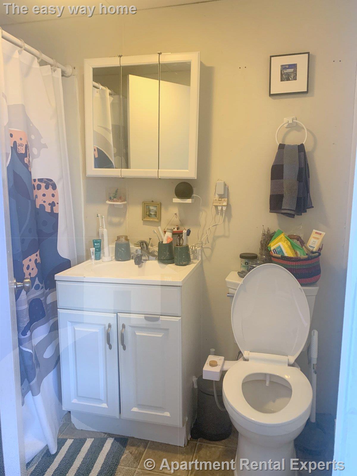 1 bed, 1 bath apartment for rent at 388 Somerville Ave Unit 8, Union Square — photo 6 of 7