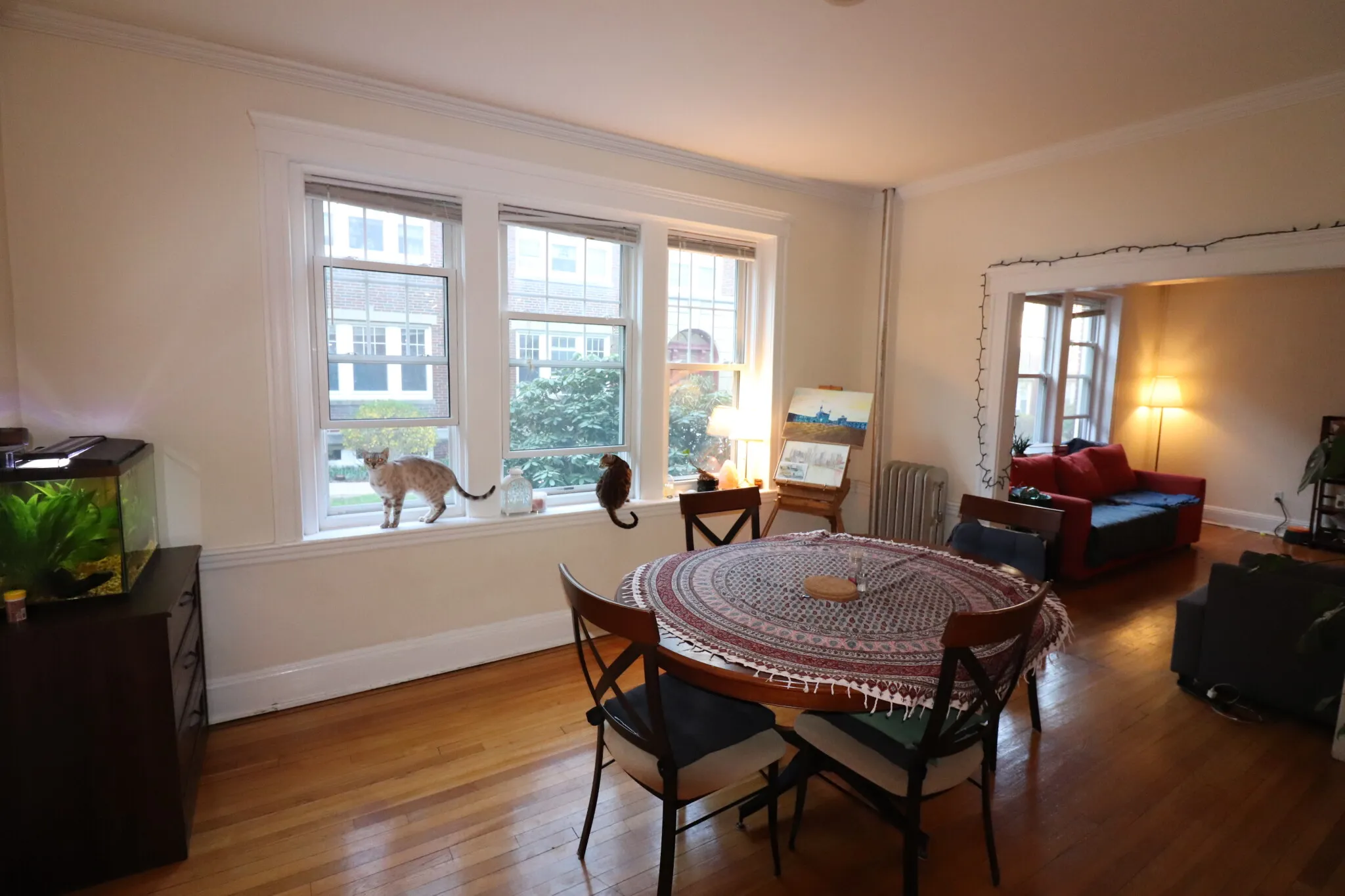 2 bed, 1 bath apartment for rent at 38A Saint Paul St Unit 01, Coolidge Corner — photo 5 of 15