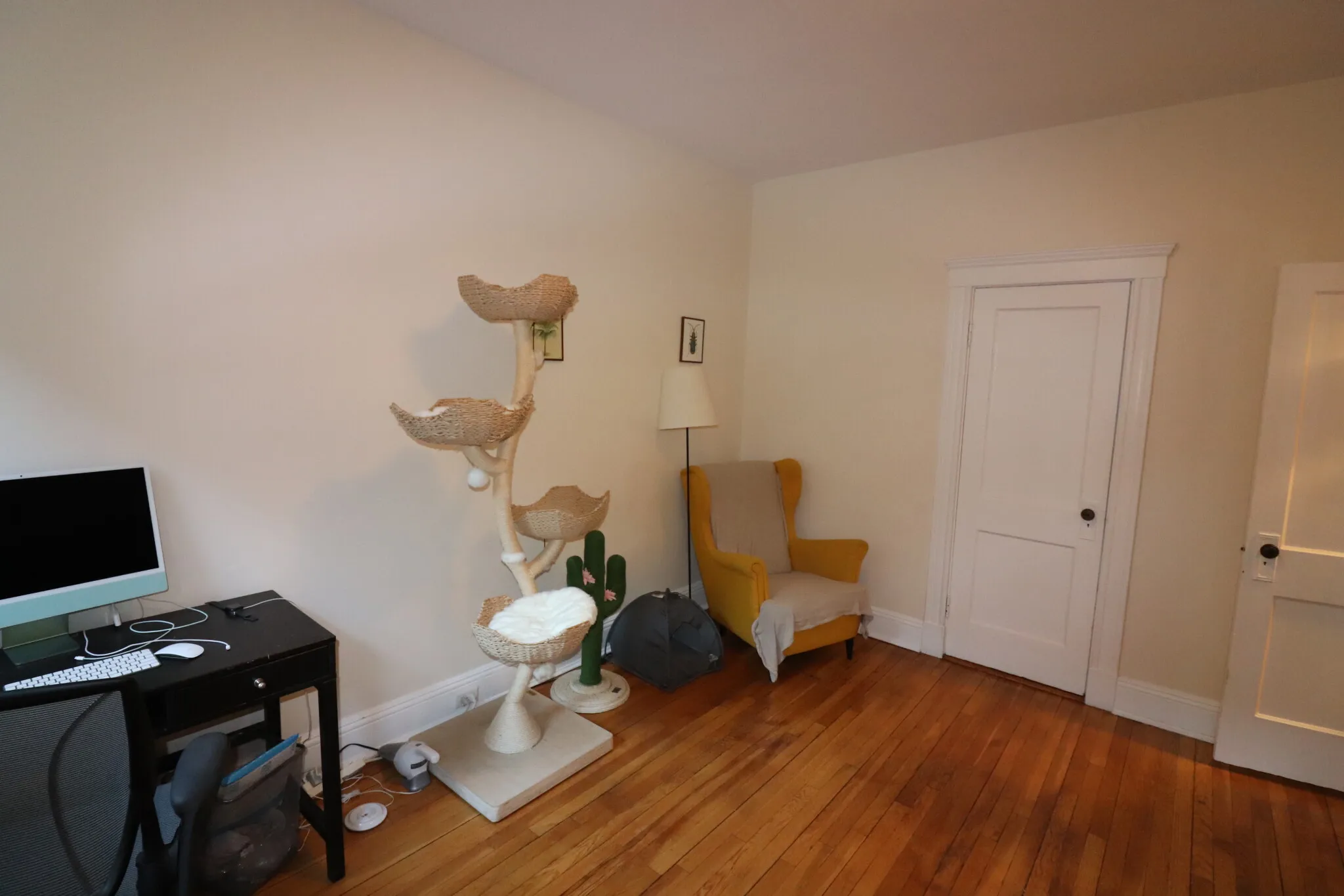 2 bed, 1 bath apartment for rent at 38A Saint Paul St Unit 01, Coolidge Corner — photo 9 of 15