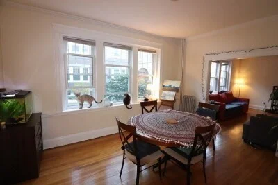 2 bed, 1 bath apartment for rent at 38A Saint Paul St Unit 1, Coolidge Corner — photo 3 of 13