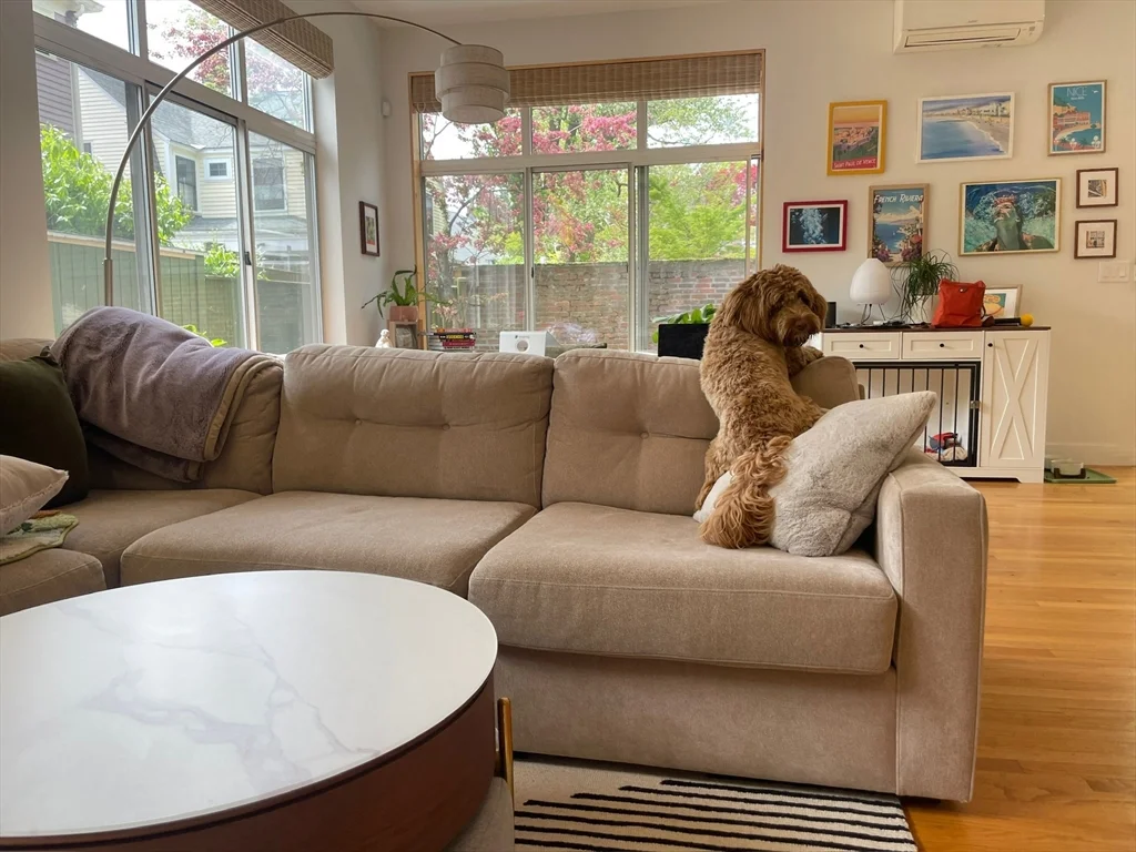 3 bed, 2 bath apartment for rent at 39-41 Dana St Unit 5, Mid Cambridge — photo 6 of 12