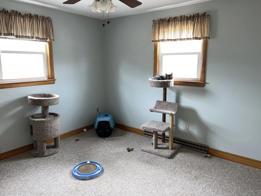 2 bed, 1 bath apartment for rent at 39 Mill Rd, Chelmsford — photo 11 of 22