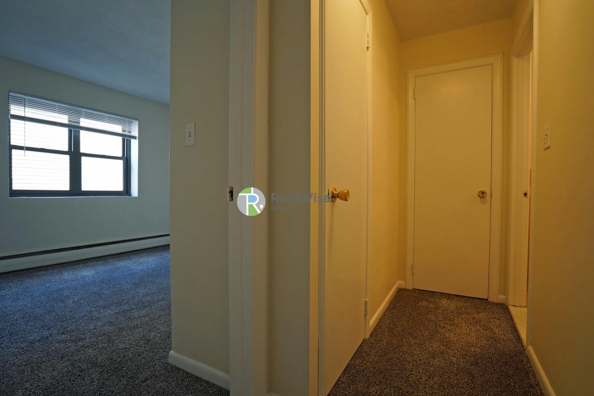 1 bed, 1 bath apartment for rent at 39 Shepard St Unit 10, Brighton — photo 8 of 19