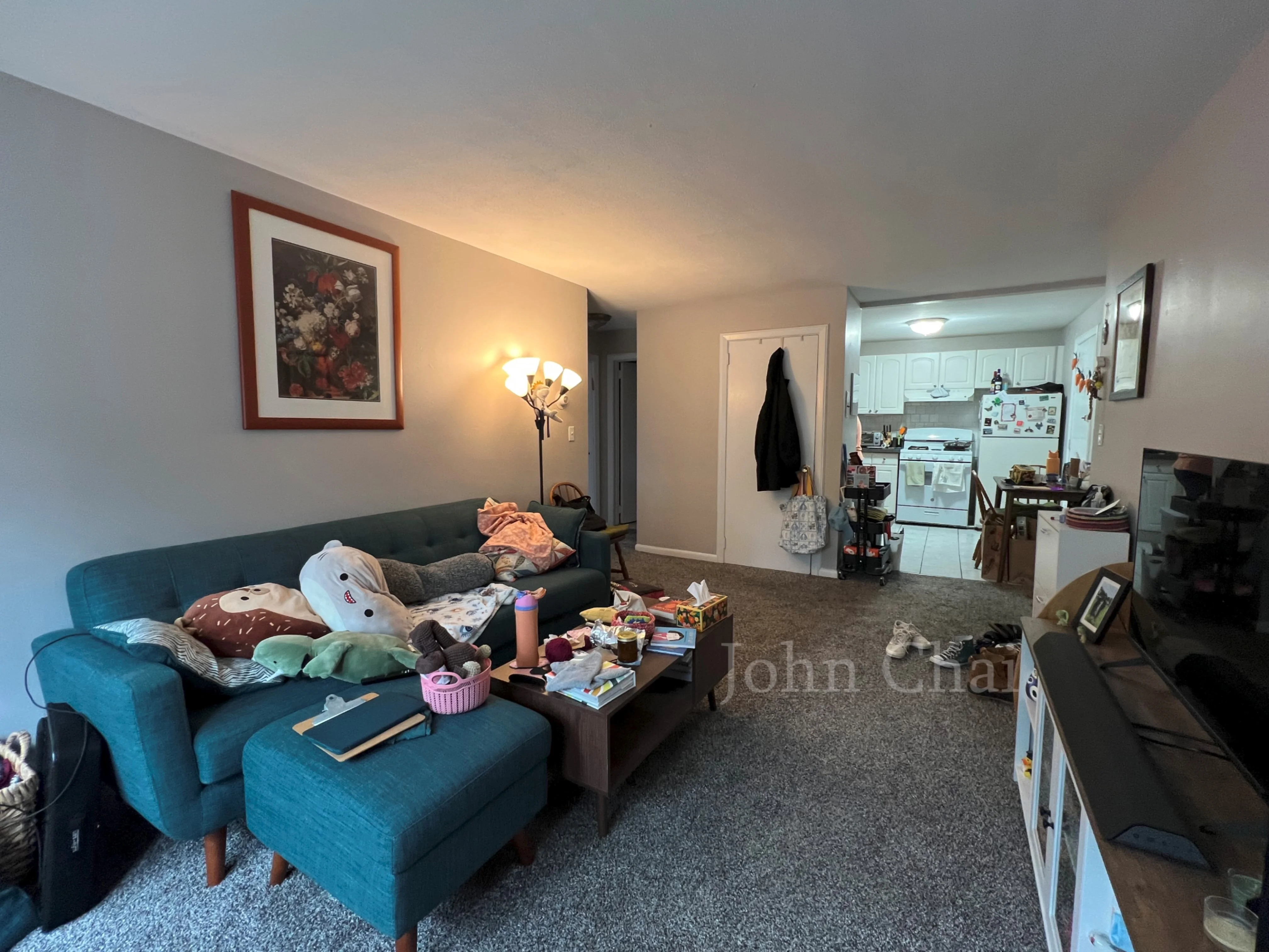 2 bed, 1 bath apartment for rent at 39 Shepard St Unit 7, Brighton — photo 11 of 32