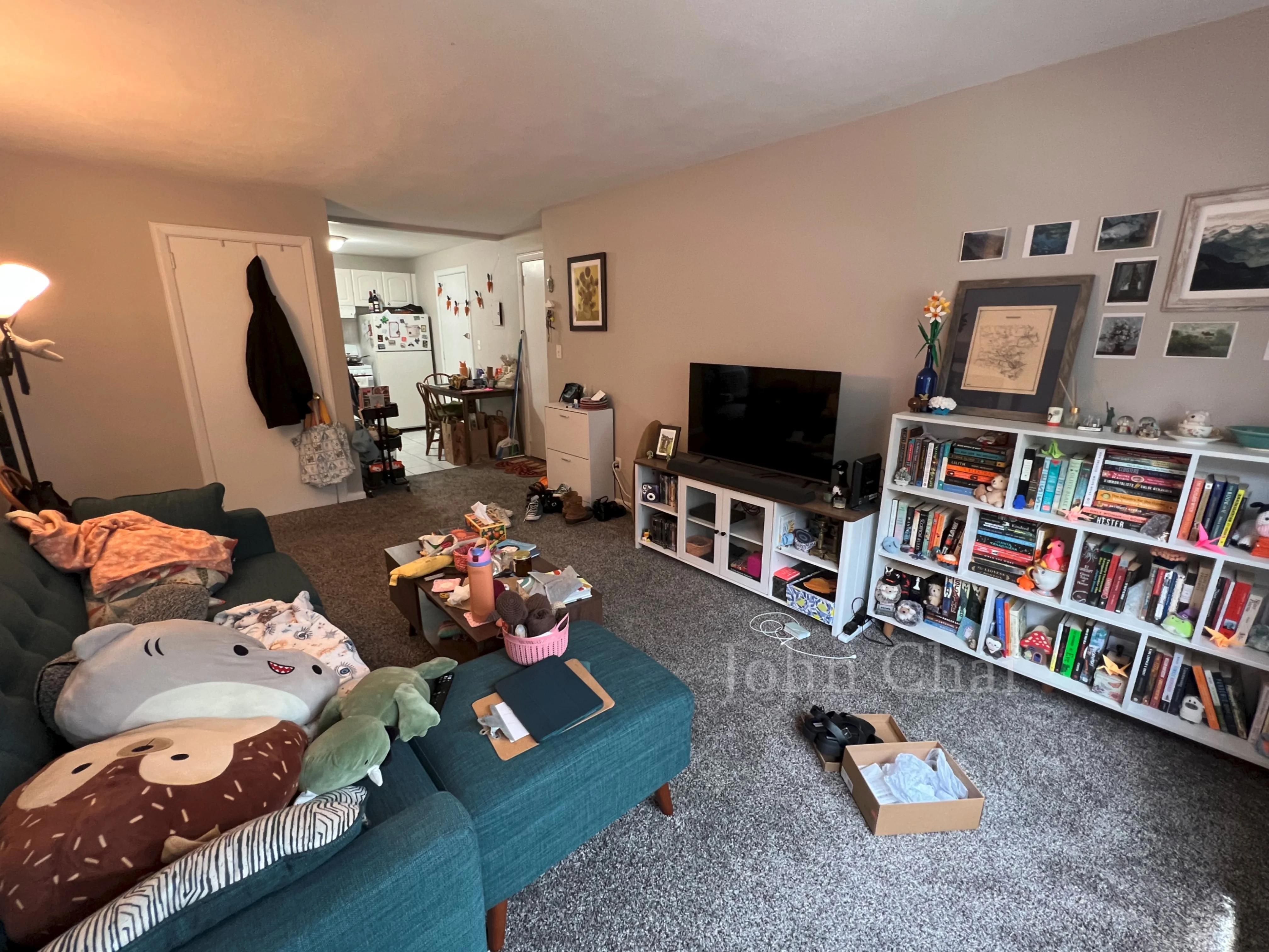 2 bed, 1 bath apartment for rent at 39 Shepard St Unit 7, Brighton — photo 9 of 32