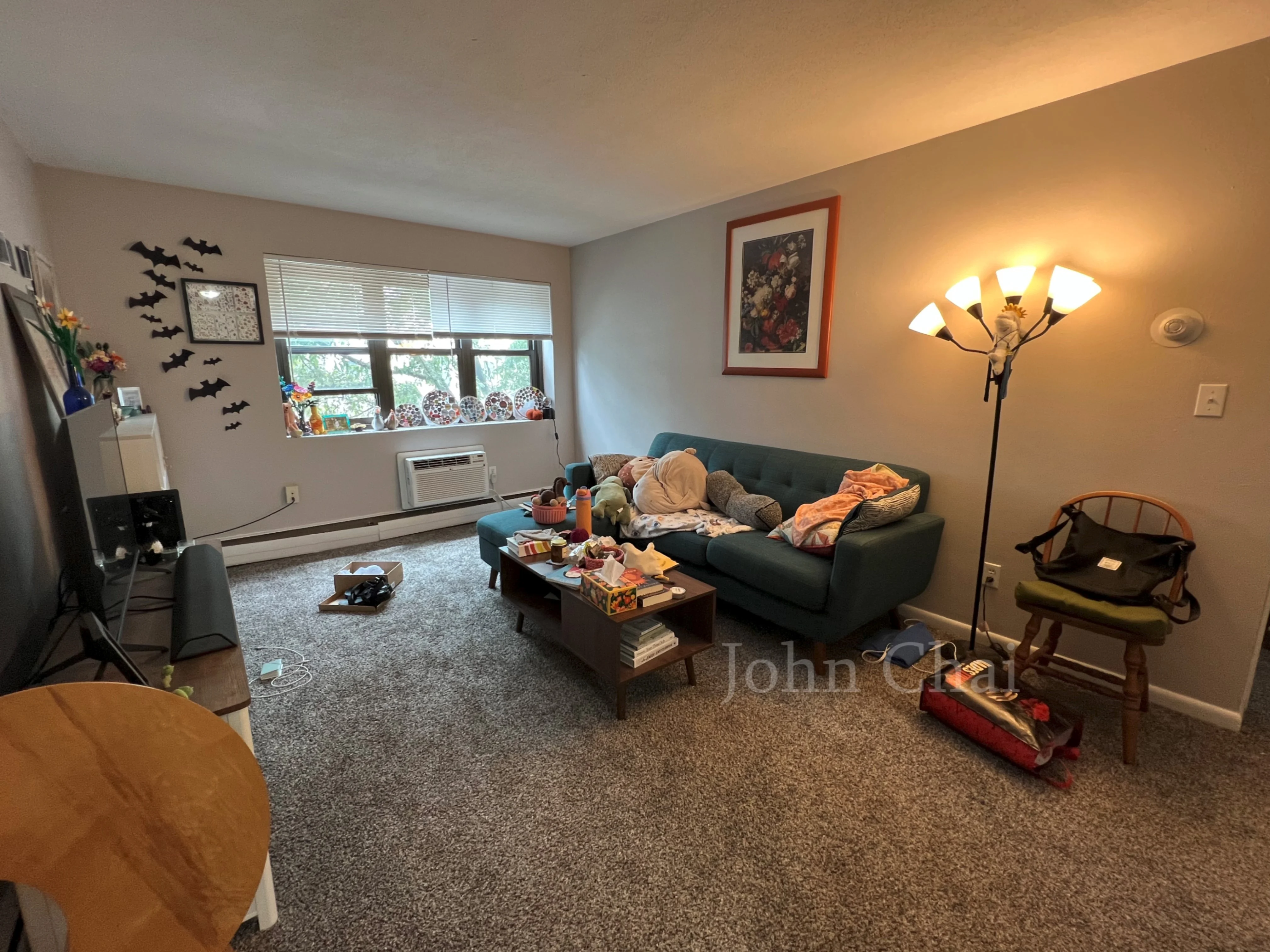 2 bed, 1 bath apartment for rent at 39 Shepard St Unit 7, Brighton — photo 3 of 32