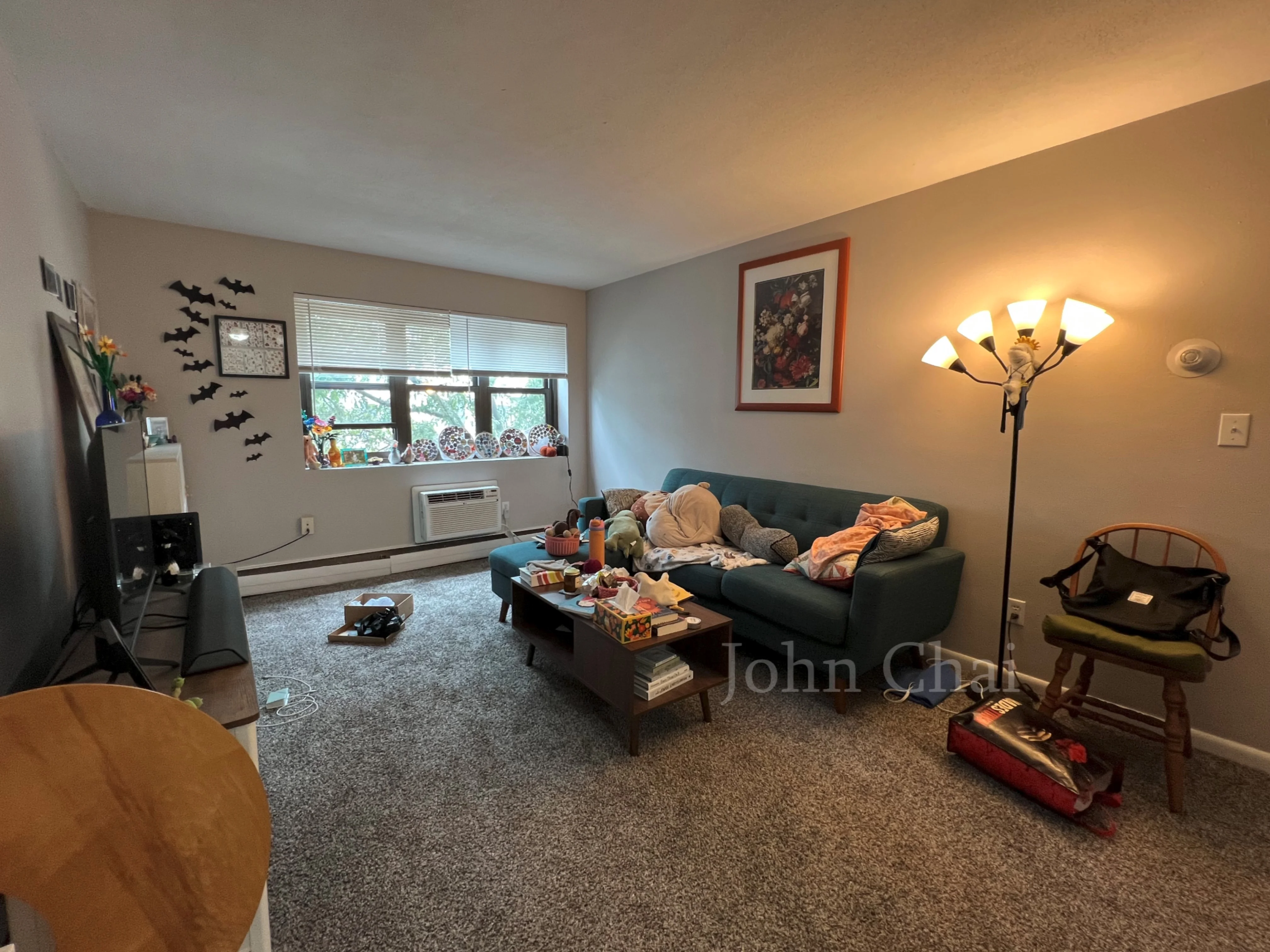 2 bed, 1 bath apartment for rent at 39 Shepard St Unit 7, Brighton — photo 2 of 32
