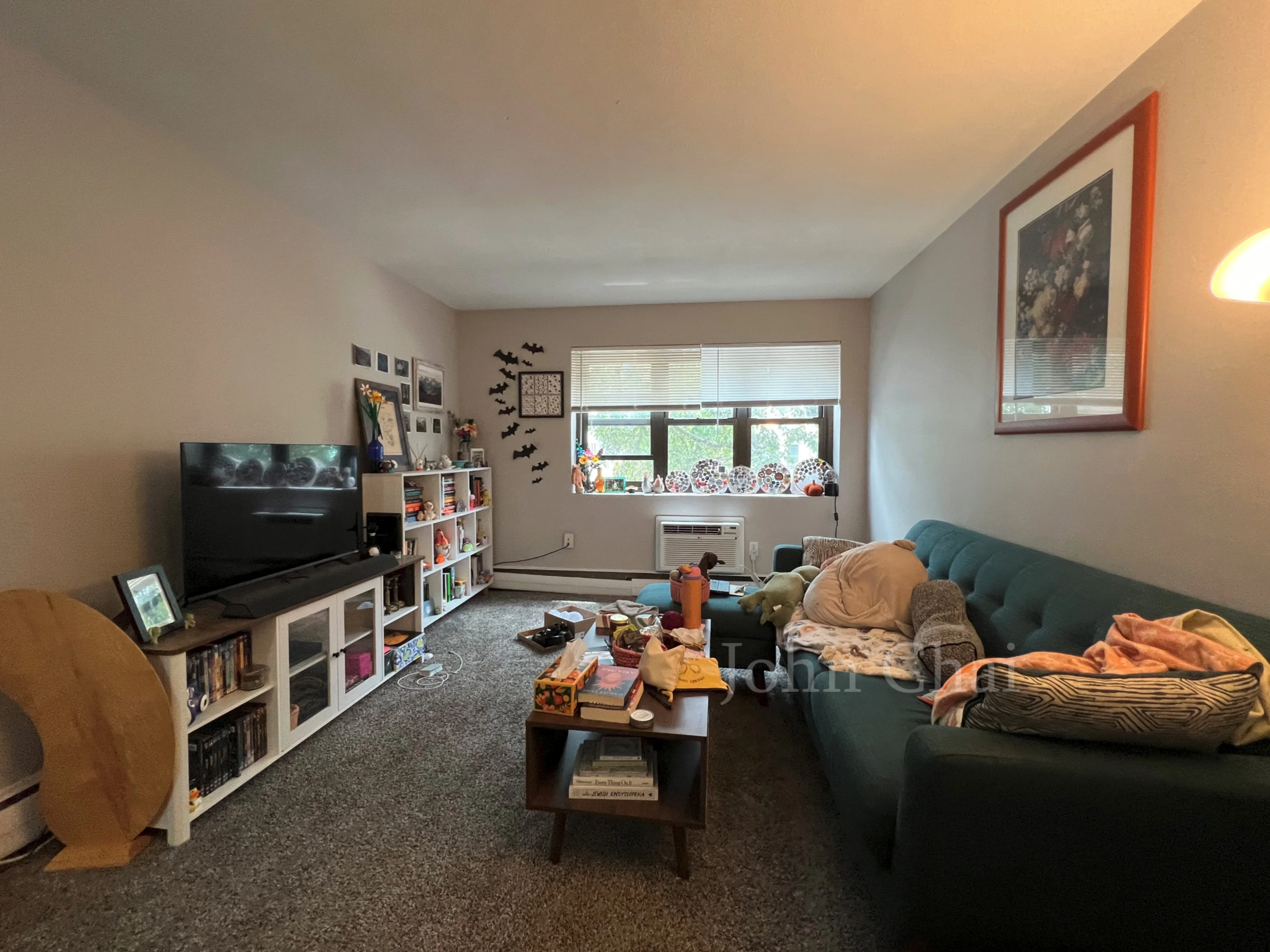 2 bed, 1 bath apartment for rent at 39 Shepard St Unit 7, Brighton — photo 7 of 32