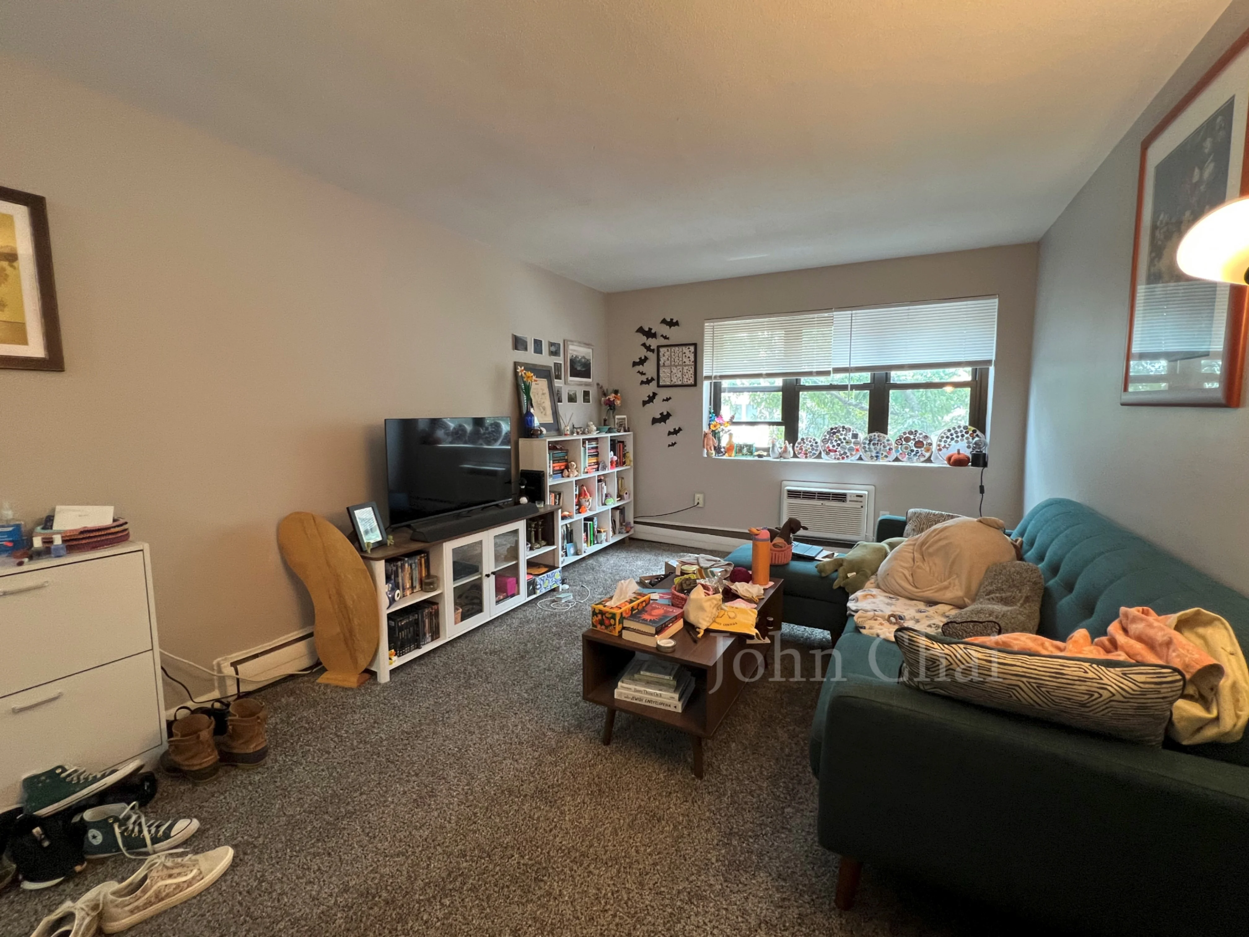 2 bed, 1 bath apartment for rent at 39 Shepard St Unit 7, Brighton — photo 5 of 32