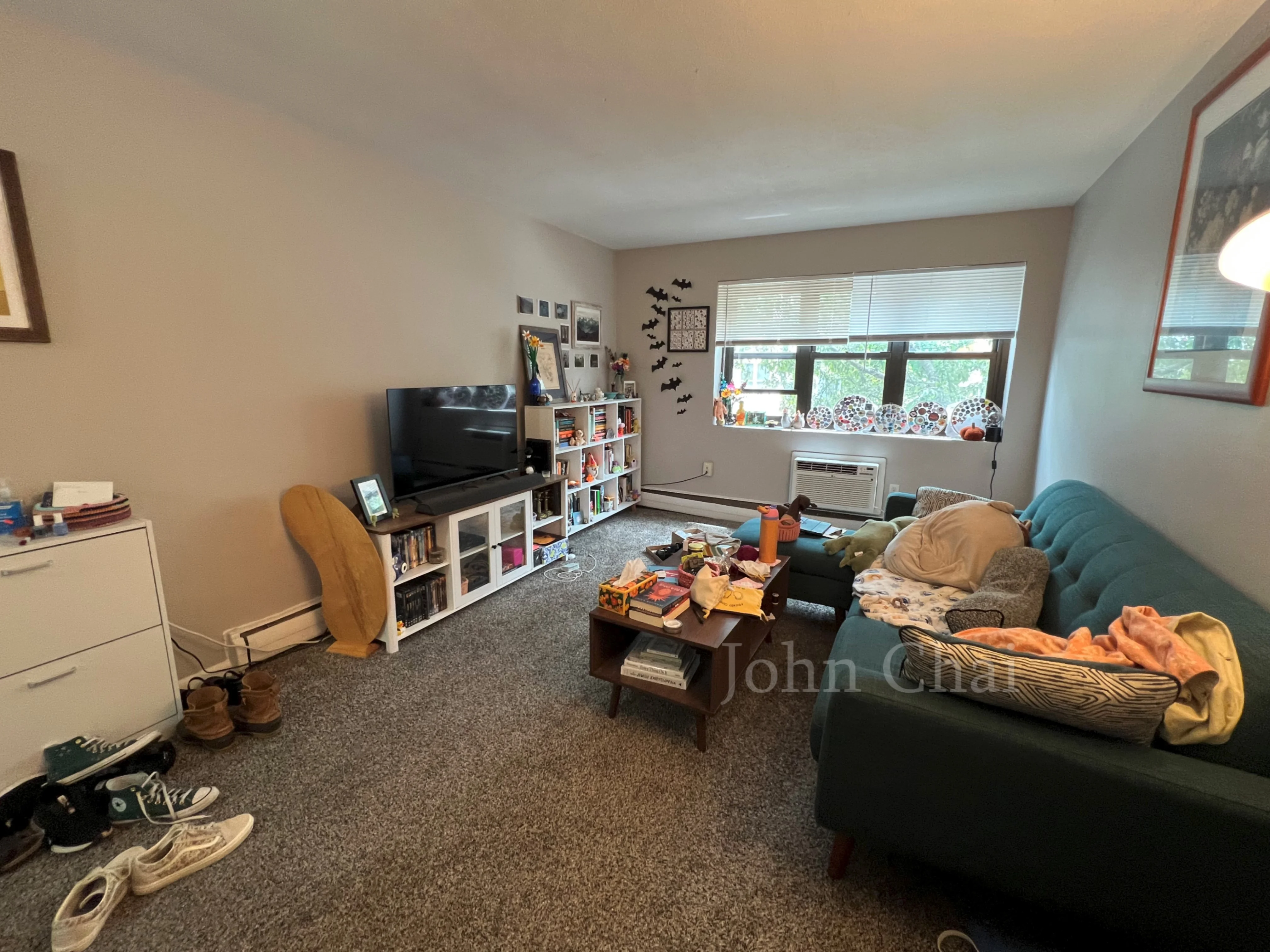 2 bed, 1 bath apartment for rent at 39 Shepard St Unit 7, Brighton — photo 6 of 32