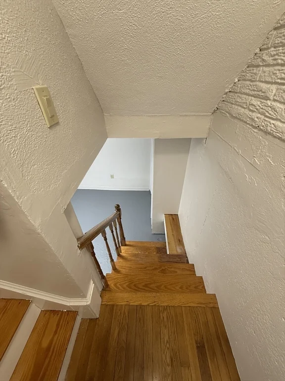 3 bed, 1 bath apartment for rent at 39 Silvia Ct Unit 39, Hyde Park — photo 15 of 20