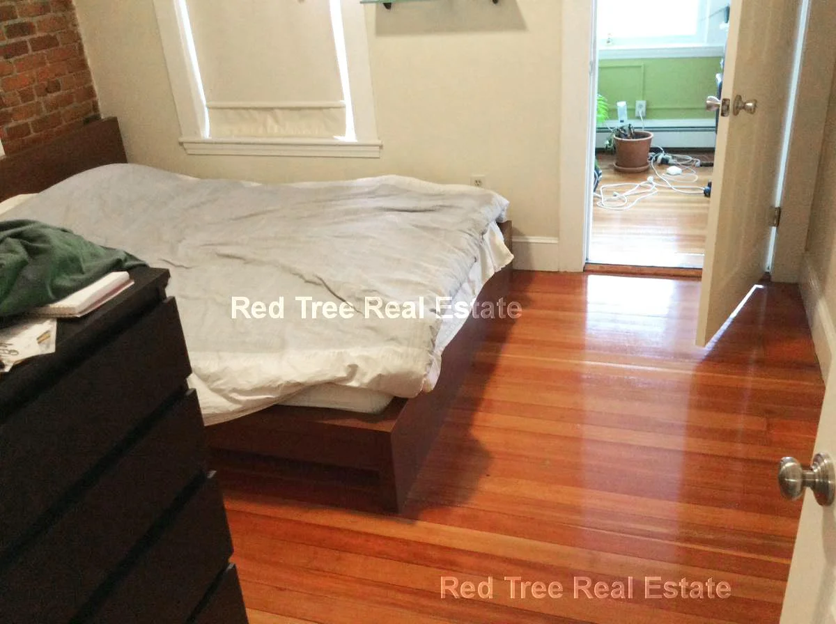 2.5 bed, 1 bath apartment for rent at 39 South St Unit 4, Brighton — photo 39 of 41