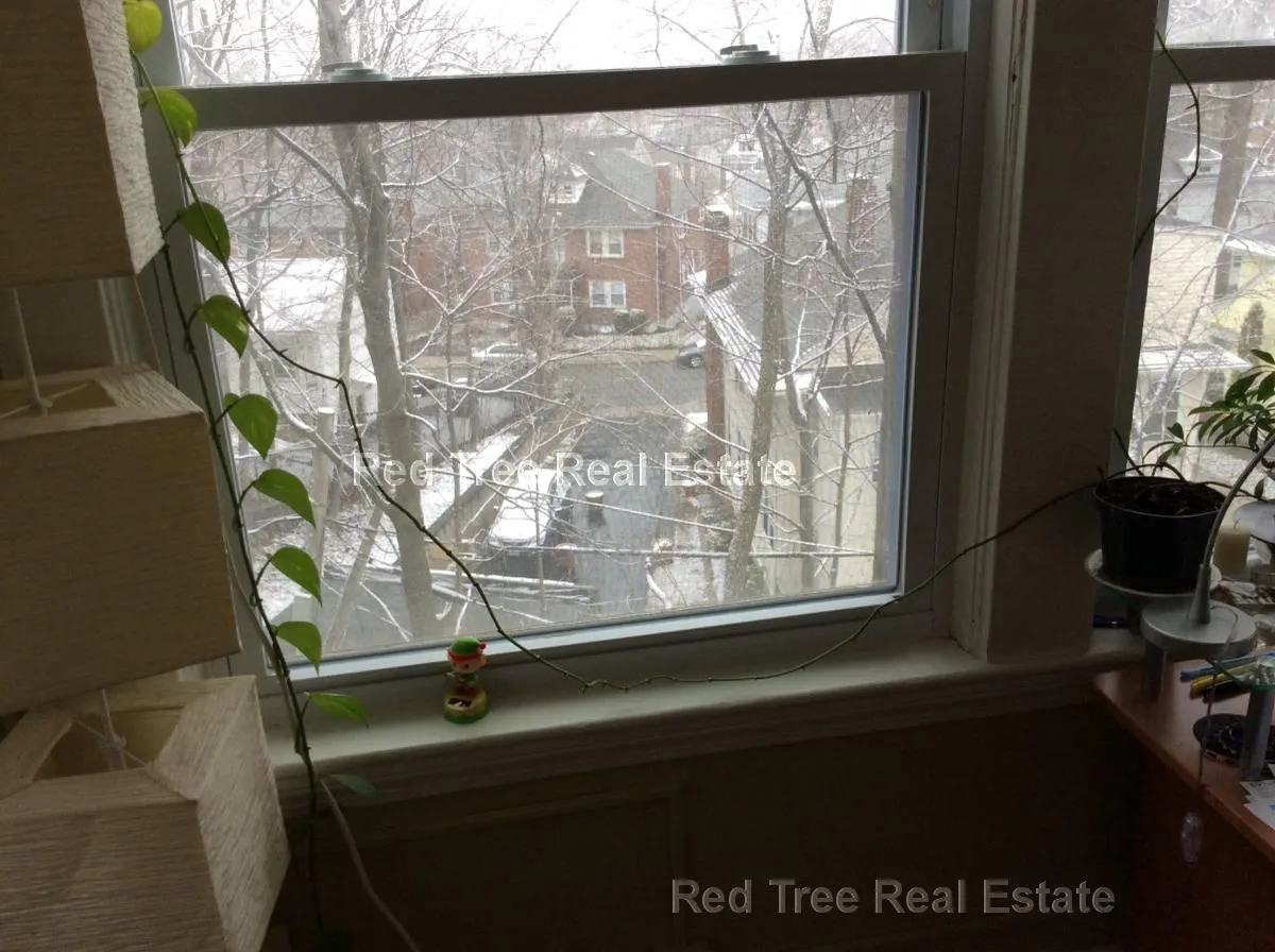 2.5 bed, 1 bath apartment for rent at 39 South St Unit 4, Brighton — photo 30 of 41