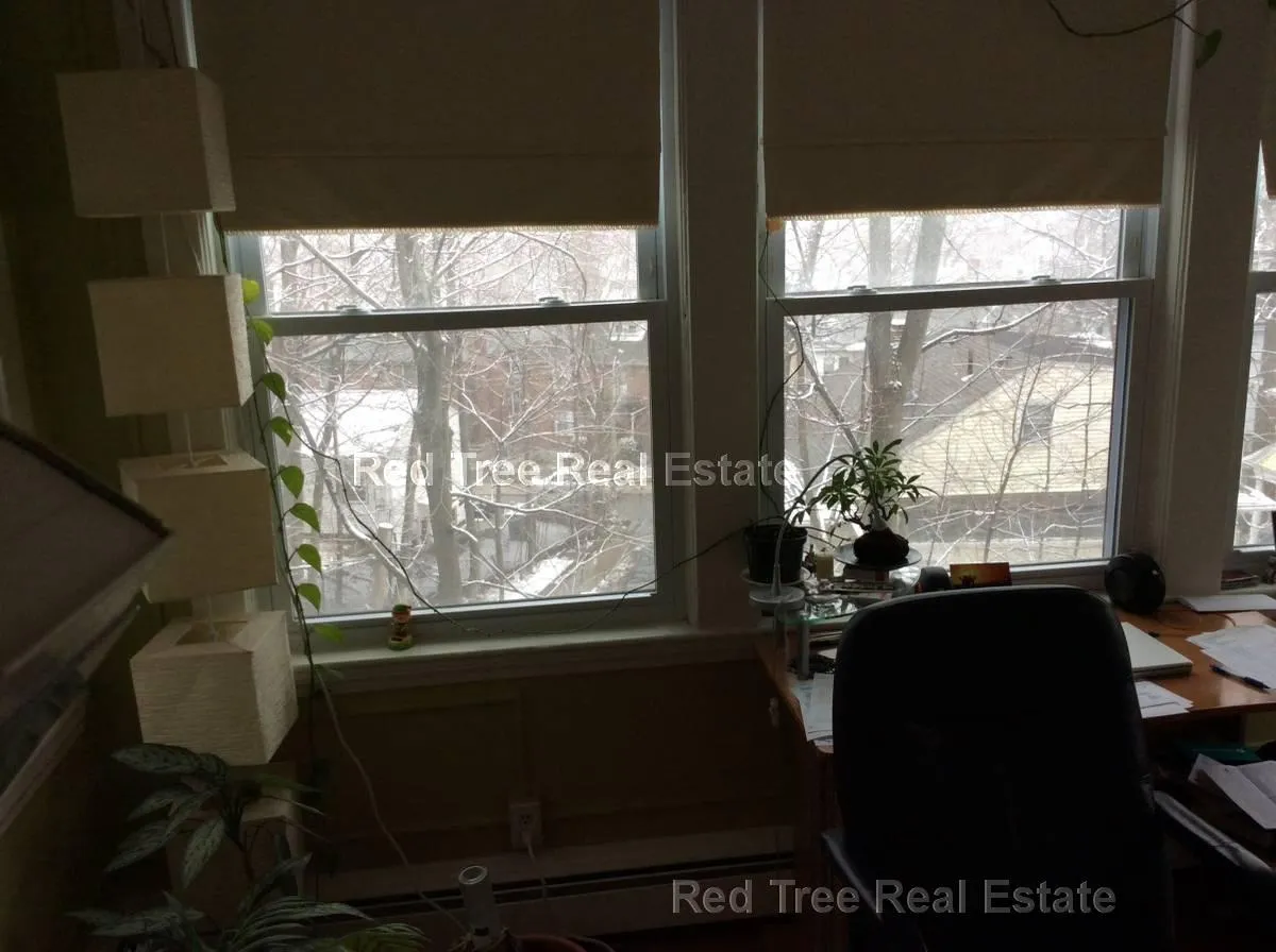 2.5 bed, 1 bath apartment for rent at 39 South St Unit 4, Brighton — photo 28 of 41