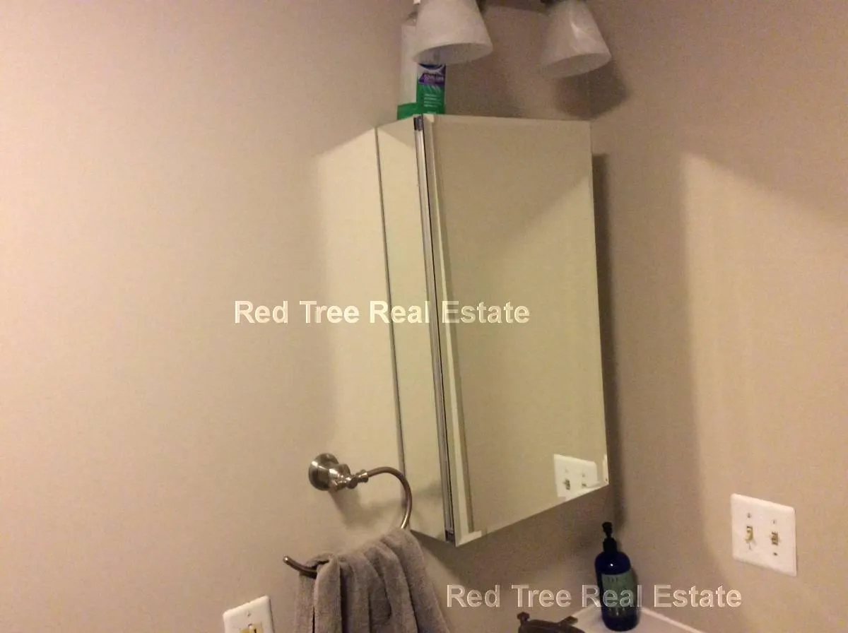 2.5 bed, 1 bath apartment for rent at 39 South St Unit 4, Brighton — photo 29 of 41