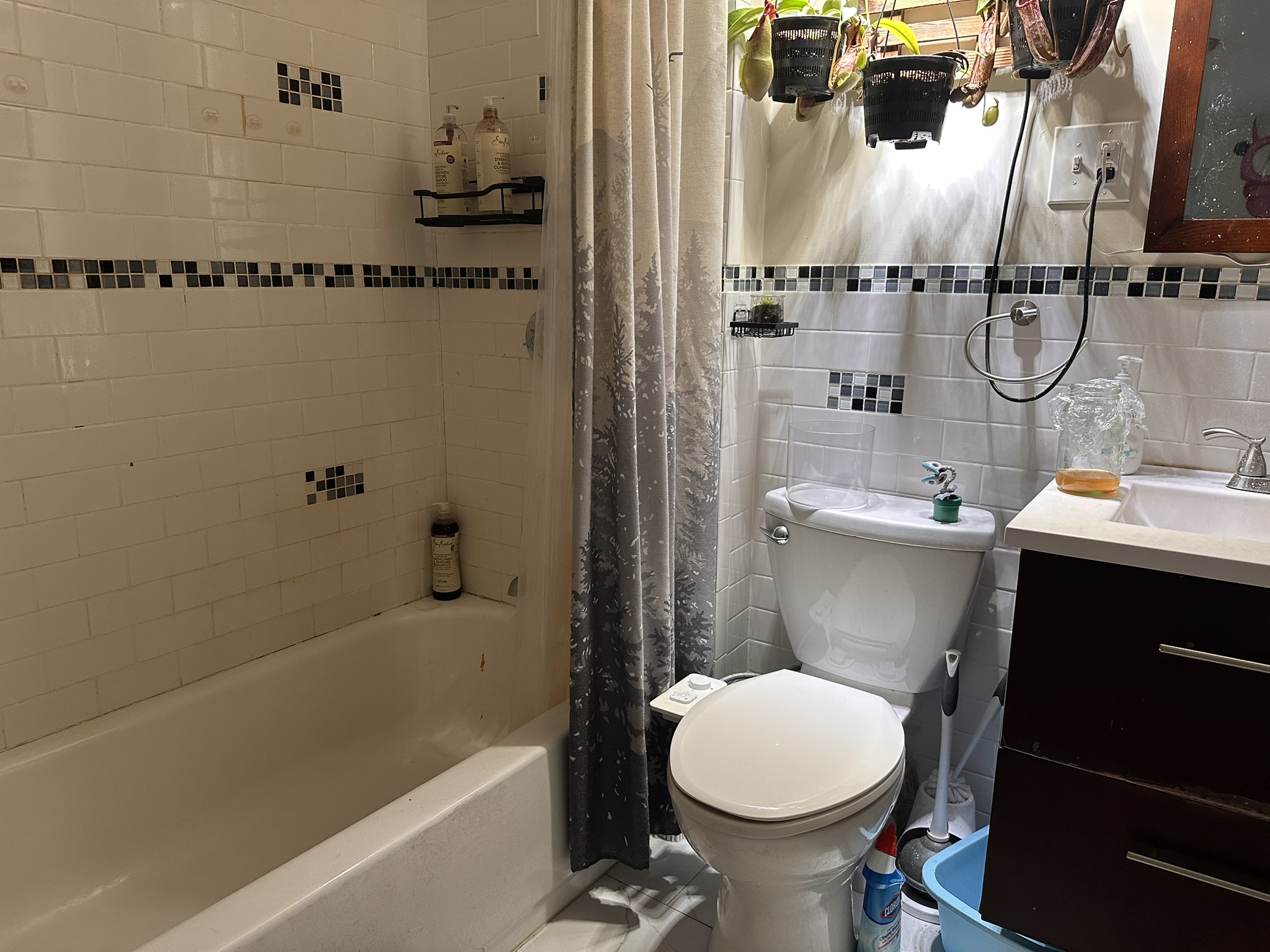 1 bed, 1 bath apartment for rent at 39 Stillman St Unit 2, North End — photo 5 of 5