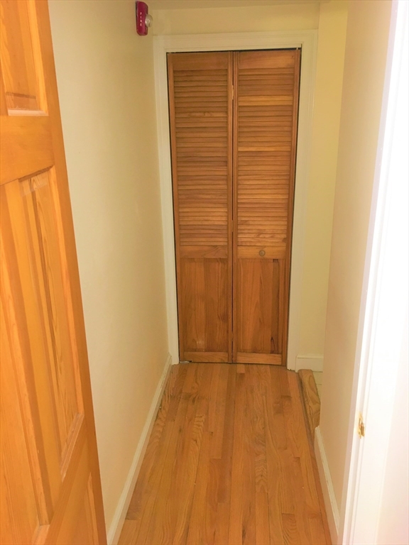 1 bed, 1 bath apartment for rent at 391 Newton St Unit 2, Chestnut Hill — photo 8 of 17