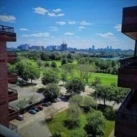 1 bed, 1 bath apartment for rent at 3920 Mystic Valley Pkwy Unit 1117, Wellington — photo 3 of 23