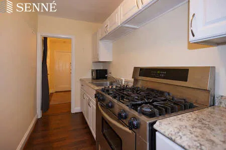 Studio bed, 1 bath apartment for rent at 395 Broadway Unit R3A, Mid Cambridge — photo 2 of 9