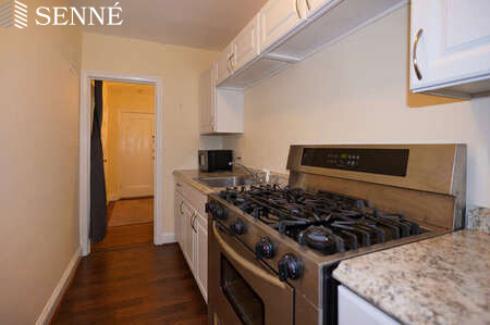 Studio bed, 1 bath apartment for rent at 395 Broadway Unit R3A, Mid-Cambridge — photo 2 of 9