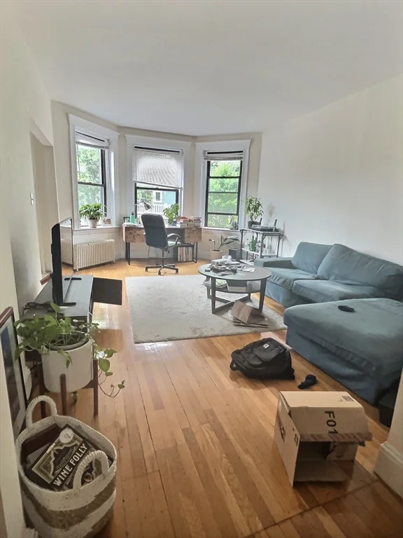 2 bed, 1 bath apartment for rent at 397 Harvard Unit 4, Coolidge Corner