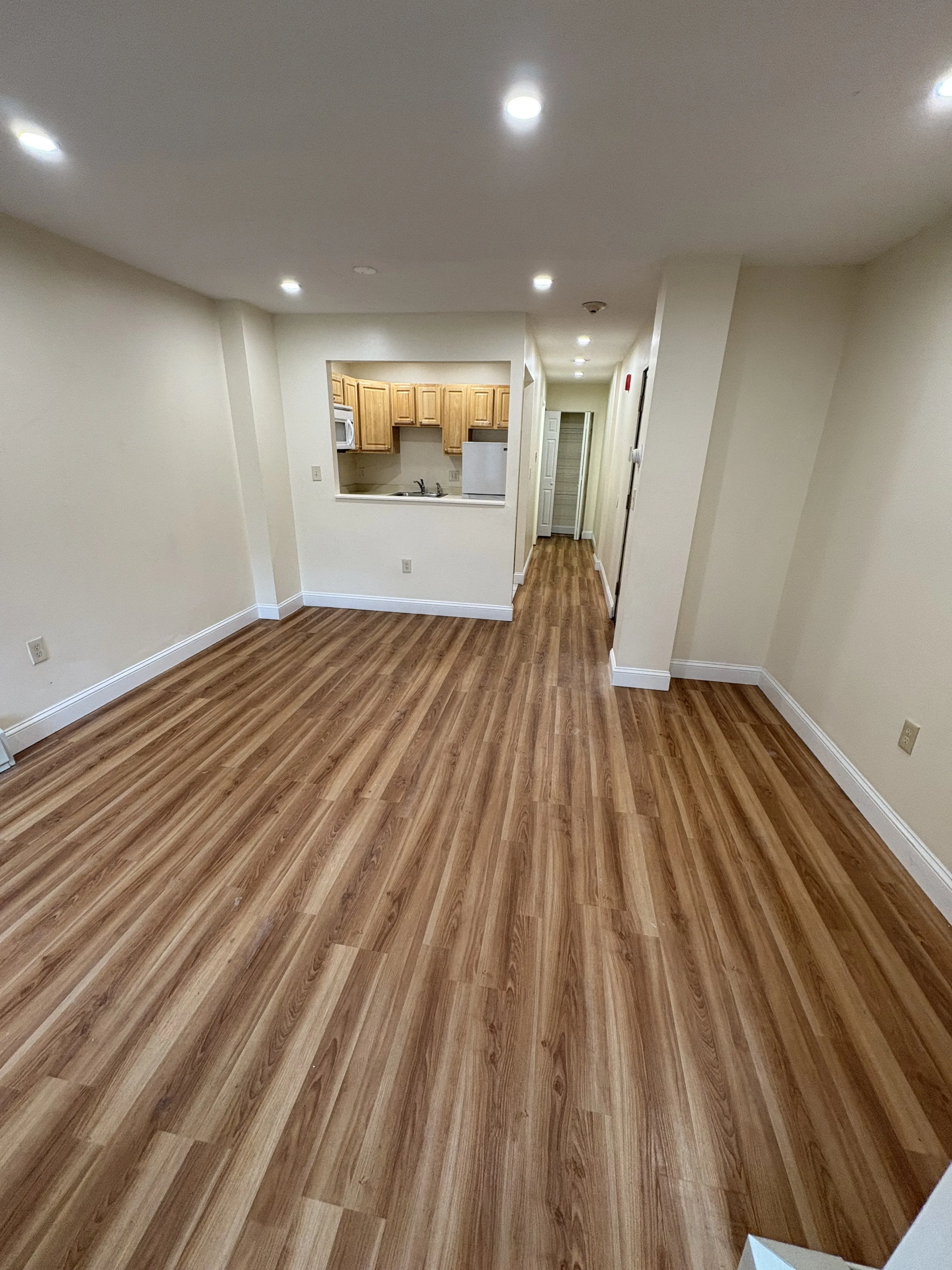 Studio bed, 1 bath apartment for rent at 397 Massachusetts Ave Unit 1, Roxbury — photo 3 of 8