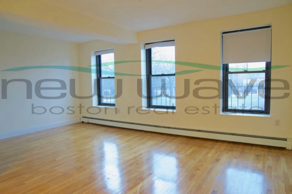 1 bed, 1 bath apartment for rent at 397 Massachusetts Ave Unit 2, Roxbury — photo 1 of 8