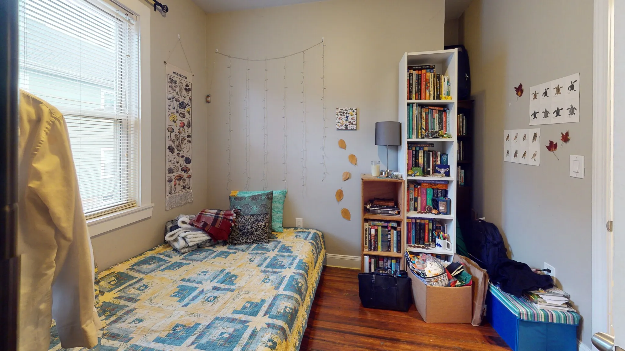 3.5 bed, 2 bath apartment for rent at 4 Boylston Pl Unit 2, Jamaica Plain — photo 5 of 11