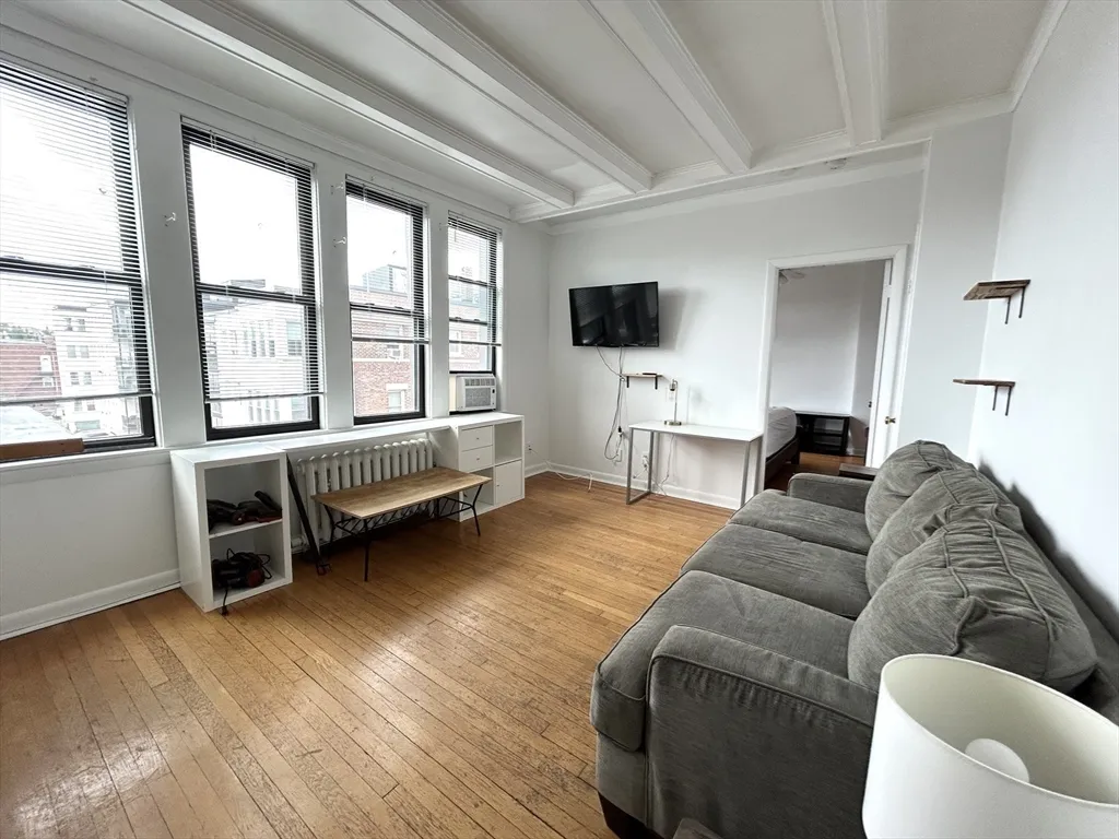 1 bed, 1 bath apartment for rent at 4 Commonwealth Ct Unit 17, Brighton — photo 4 of 10