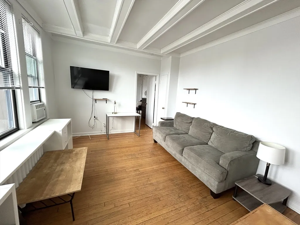1 bed, 1 bath apartment for rent at 4 Commonwealth Ct Unit 17, Brighton — photo 5 of 10
