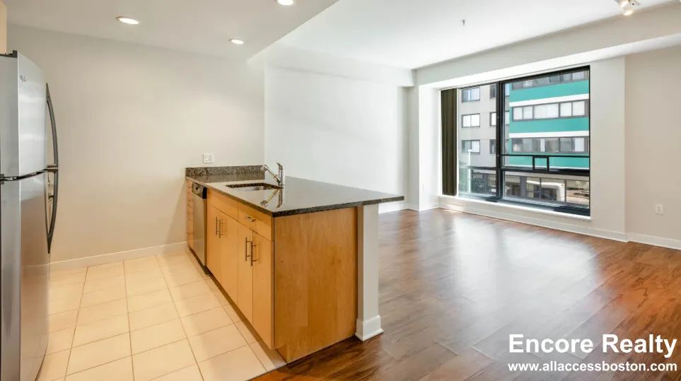 1 bed, 1 bath apartment for rent at 4 Emerson Pl Unit 908, West End — photo 2 of 5