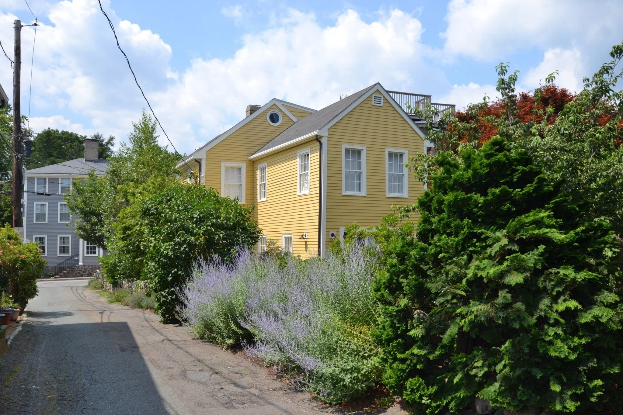 3 bed, 2 bath apartment for rent at 4 Goodwins Ct Unit 1, Marblehead — photo 2 of 16