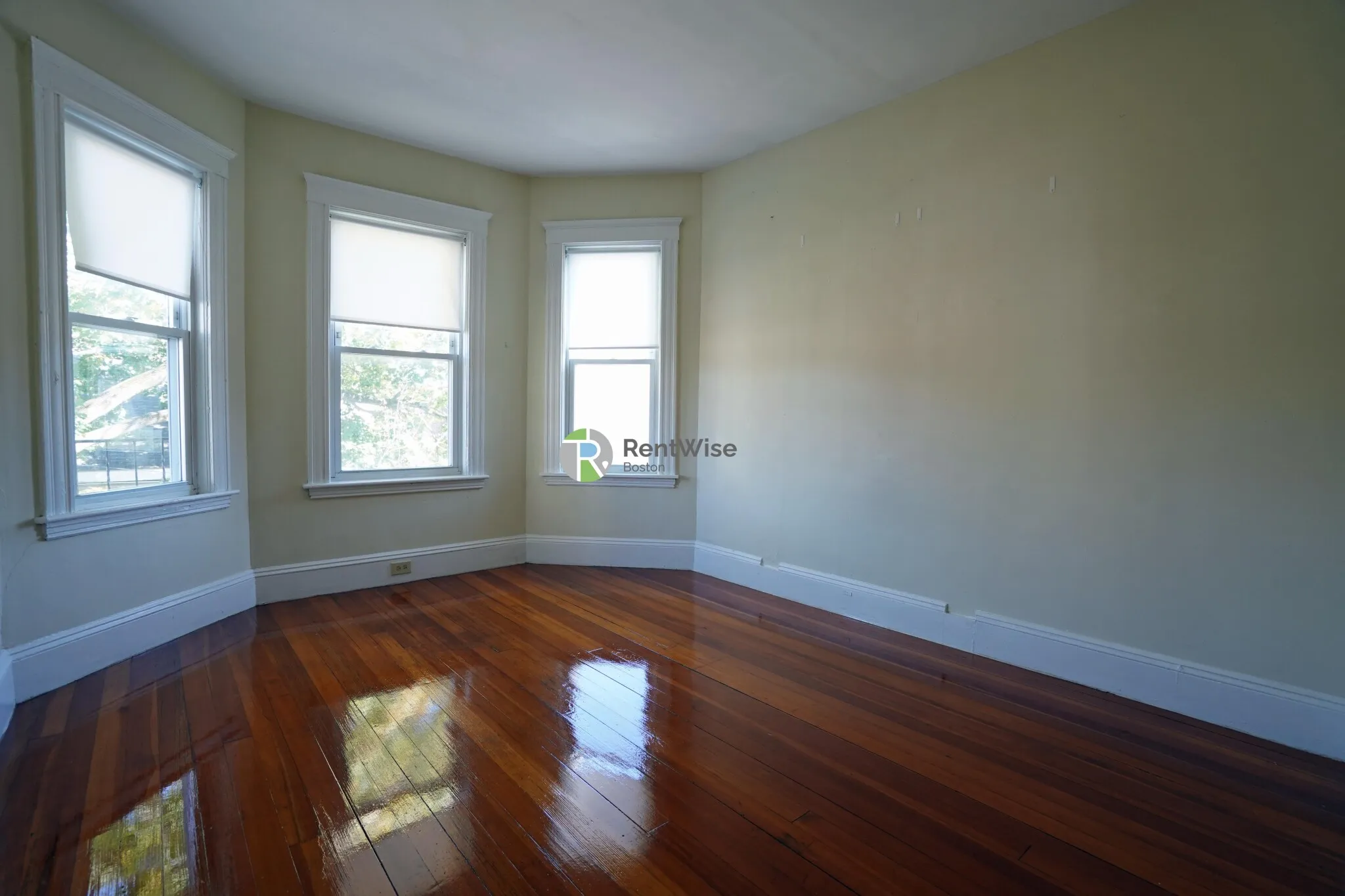 3 bed, 2 bath apartment for rent at 4 Imrie Rd Unit 3, Brighton — photo 4 of 20