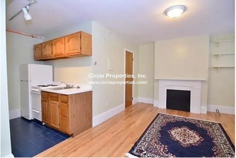 Studio bed, 1 bath apartment for rent at 4 Milford St Unit M-01, South End — photo 2 of 8