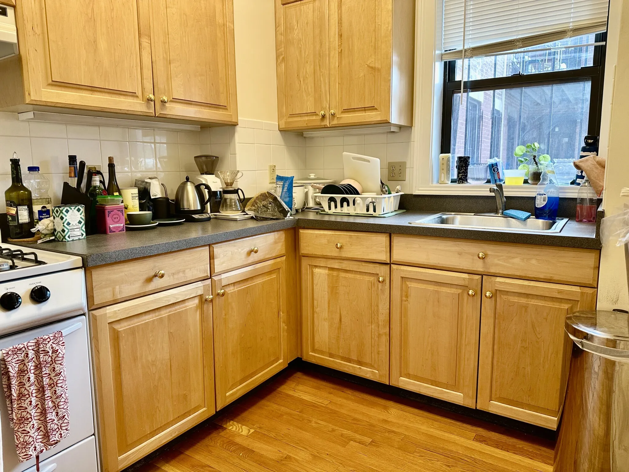 1 bed, 1 bath apartment for rent at 4 Park Vale Ave Unit 4, Allston — photo 5 of 35
