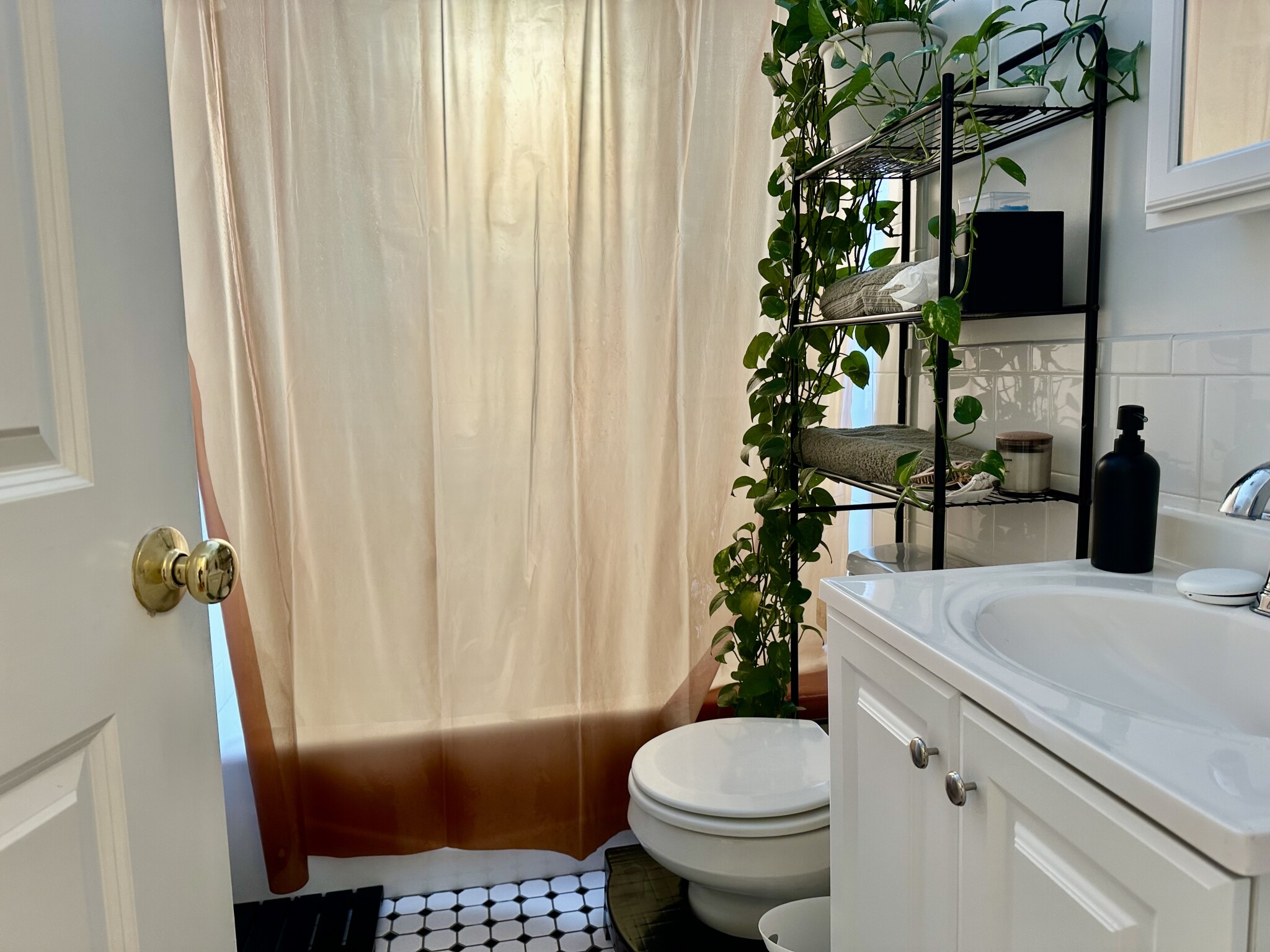 2 bed, 1 bath apartment for rent at 4 Park Vale Ave Unit 5, Allston — photo 9 of 17