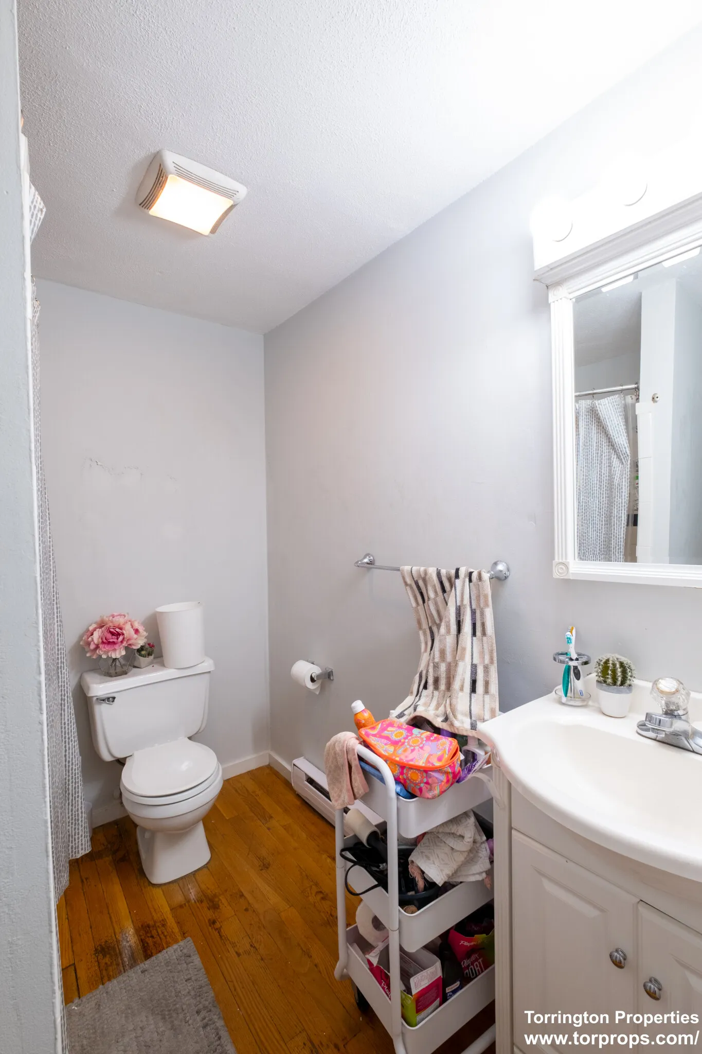 2 bed, 1 bath apartment for rent at 4 Schrepel Pl Unit 3, South Boston — photo 35 of 39