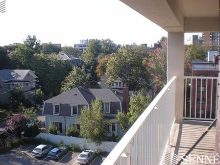 1 bed, 1 bath apartment for rent at 4 Trowbridge Pl Unit 6A, Mid Cambridge — photo 10 of 11