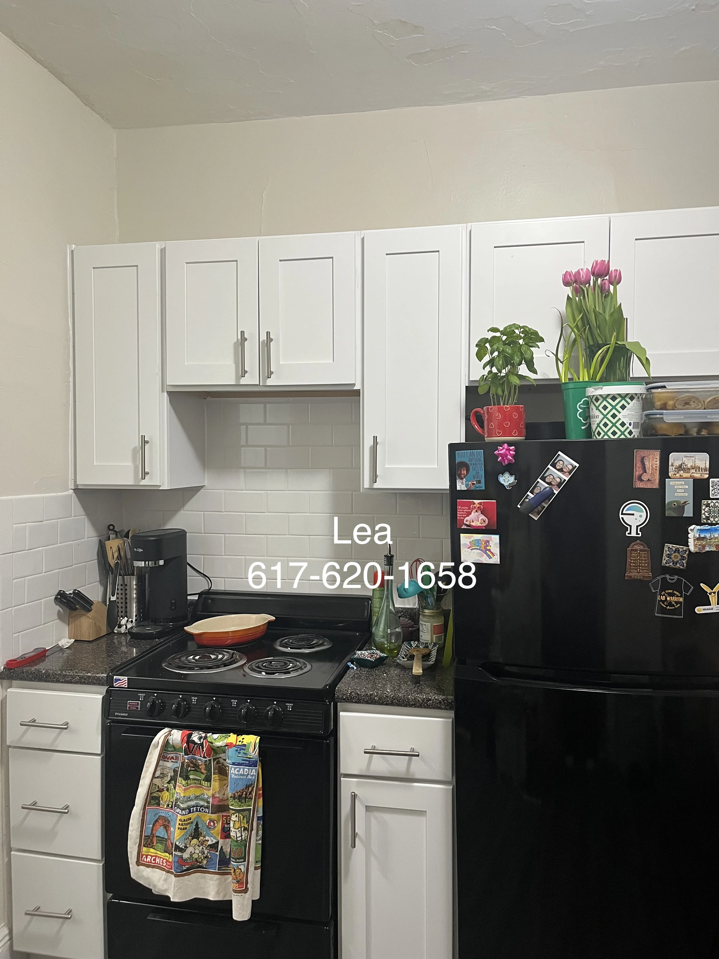 2 bed, 1 bath apartment for rent at 4 Vinal St Unit 2, Brighton — photo 6 of 10
