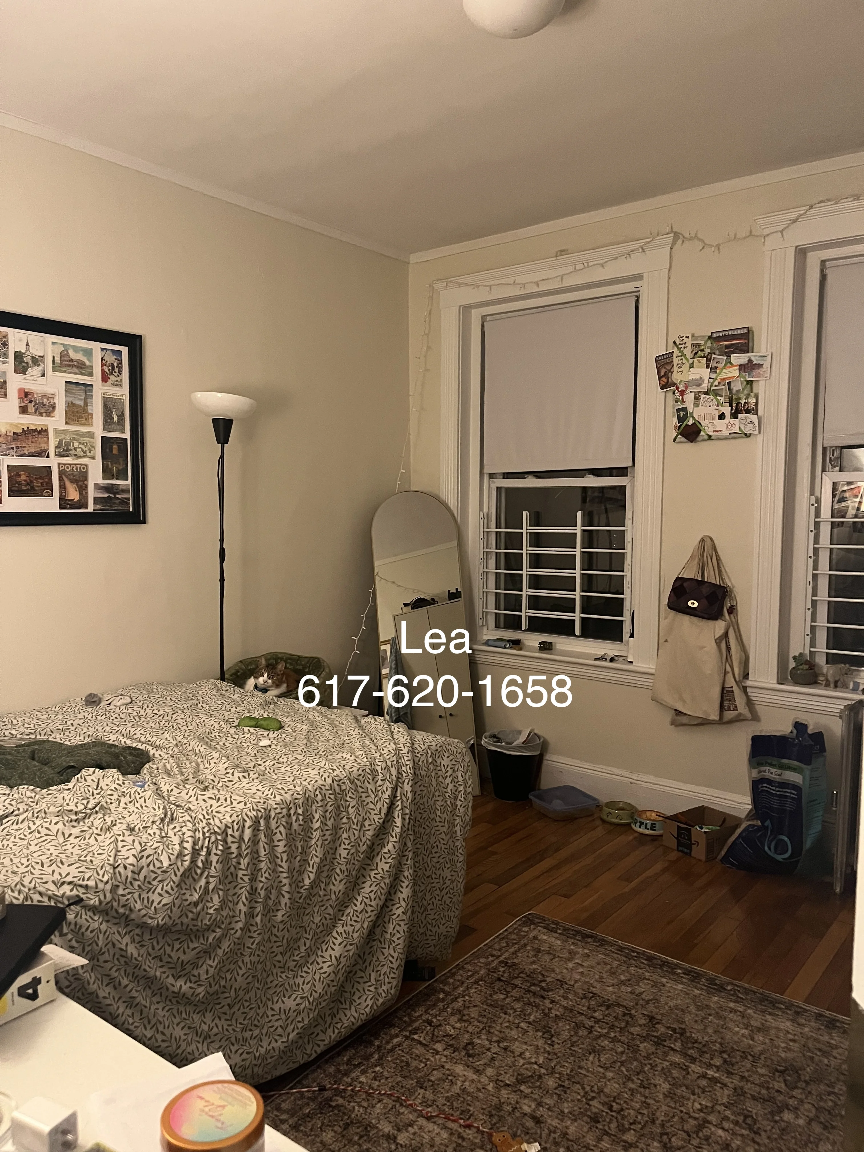 2 bed, 1 bath apartment for rent at 4 Vinal St Unit 2, Brighton — photo 2 of 10